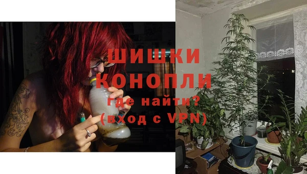 соль ск Белокуриха