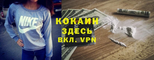 шишки Беломорск