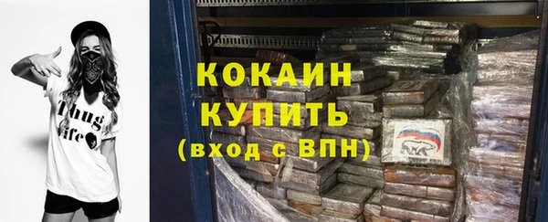 шишки Беломорск