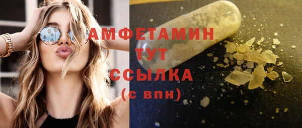 шишки Беломорск
