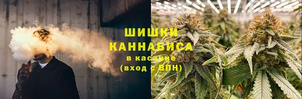 соль ск Белокуриха